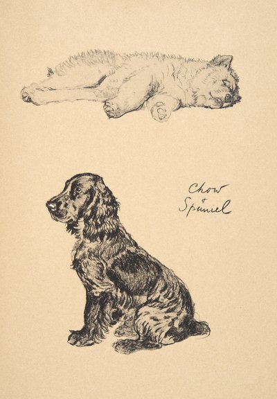 Chow y Spaniel, 1930, Ilustraciones de su libro de bocetos utilizado para 