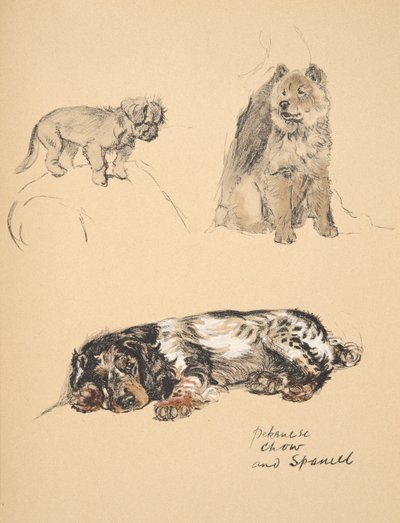 Pekinés, Chow y Spaniel, 1930, Ilustraciones de su Sketch Book usado para Just Among Friends, Aldin, Cecil Charles Windsor (1870-1935), publicado posteriormente por Eyre and Spottiswoode Limited, 1934 de Cecil Charles Windsor Aldin