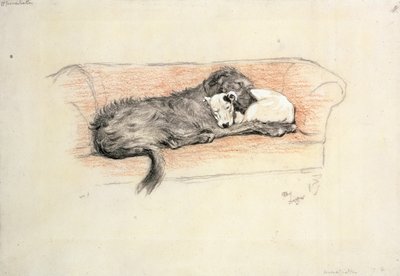 Reconciliación; Lobero y Bull Terrier durmiendo en un sofá de Cecil Charles Windsor Aldin
