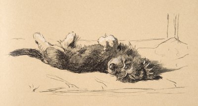 Detalle de cachorro de dachshund áspero, 1930, Ilustraciones de su Sketch Book usado para Just Among Friends, Aldin, Cecil Charles Windsor (1870-1935), publicado posteriormente por Eyre and Spottiswoode Limited, 1934 de Cecil Charles Windsor Aldin