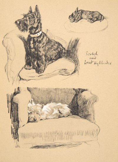 Escocés y West Highlander, 1930, Ilustraciones de su Sketch Book usado para Just Among Friends, Aldin, Cecil Charles Windsor (1870-1935), publicado posteriormente por Eyre and Spottiswoode Limited, 1934 de Cecil Charles Windsor Aldin