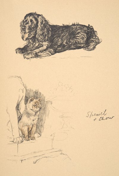 Spaniel y Chow, 1930, Ilustraciones de su Sketch Book usado para Just Among Friends, Aldin, Cecil Charles Windsor (1870-1935), publicado posteriormente por Eyre and Spottiswoode Limited, 1934 de Cecil Charles Windsor Aldin