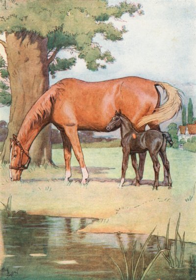 El primer lugar que puedo recordar bien, era un gran prado agradable con un estanque de agua clara de Cecil Charles Windsor Aldin