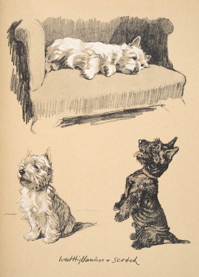 West Highlanders y Scotch, 1930, Ilustraciones de su cuaderno de bocetos utilizado para Just Among Friends, publicado más tarde por Eyre y Spottiswoode Limited, 1934 de Cecil Charles Windsor Aldin