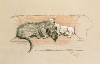 Lobero irlandés y bull terrier durmiendo en un sofá de Cecil Charles Windsor Aldin