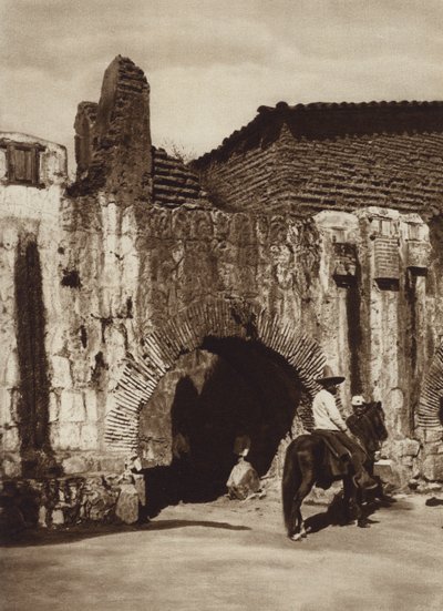 Mexico: Oaxaca, Tuberia espanola (b/w photo) de Cecile Seler Sachs