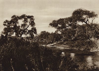Mexico: Zacatecas, Cerca de las ruinas de La Quemada (b/w photo) de Cecile Seler Sachs