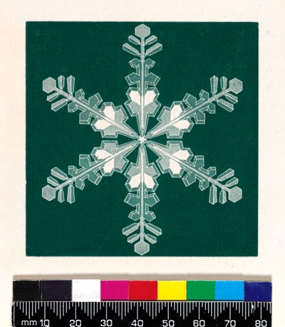 Cristales de nieve de Cecilia Glaisher