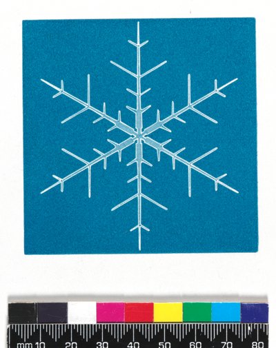 Cristales de nieve de Cecilia Glaisher