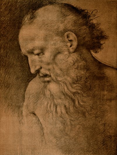 Cabeza de San Jerónimo de Cesare da Sesto