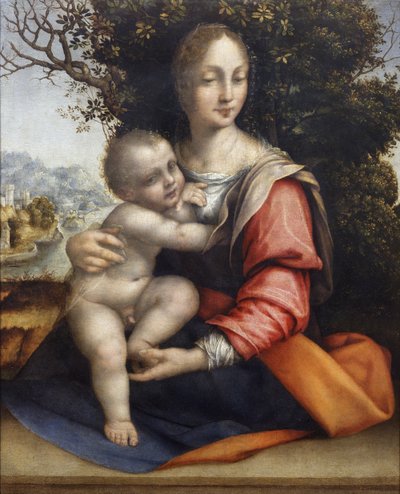 Madonna y Niño (Nuestra Señora del Árbol) de Cesare da Sesto