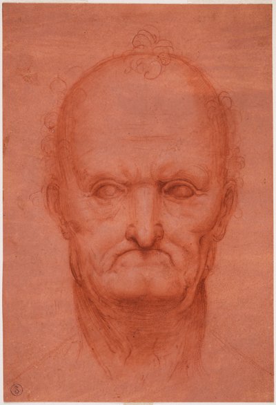 Cabeza de anciano, c. 1515 de Cesare da attr.to Sesto