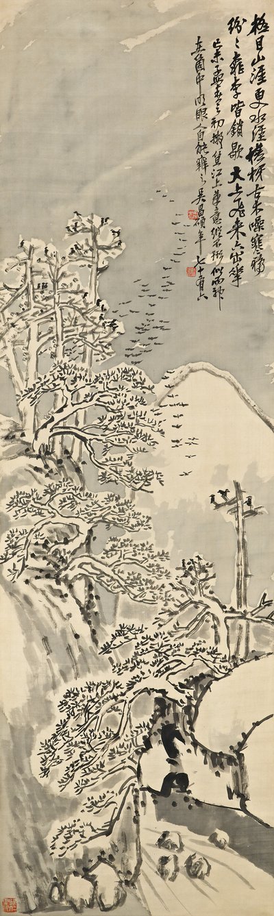 Invierno nevado de Changshuo Wu