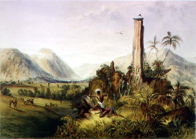 Pure-Piapa, una notable piedra basáltica en Guayana, de 