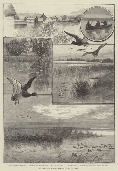Caza de patos en Long Point Island, en el lago Erie (grabado) de Charles (after) Whymper
