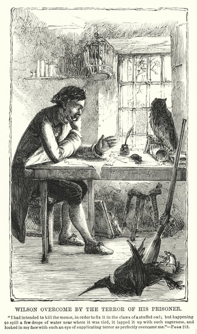Wilson superado por el terror de su prisionero (grabado) de Charles Altamont Doyle