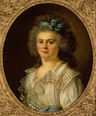 Retrato de una Dama de Charles Amedee Philippe van Loo