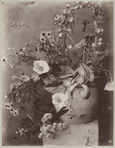 Estudio de flores con maceta de colonia en caja de Charles Aubry (manner of)