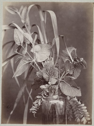 Estudio de flores con botella de cristal. de Charles Aubry (manner of)
