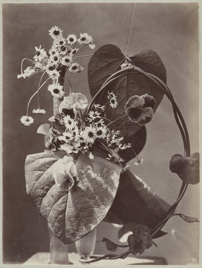 Estudio de flores con jarrones de cristal. de Charles Aubry (manner of)