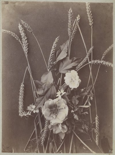Estudio de flores con mazorcas de maíz de Charles Aubry (manner of)