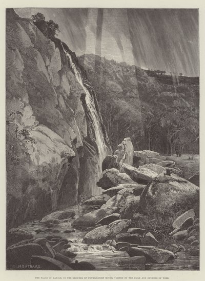 Las Cataratas de Dargle, en los Jardines de la Casa Powerscourt, visitadas por el Duque y la Duquesa de York de Charles Auguste Loye