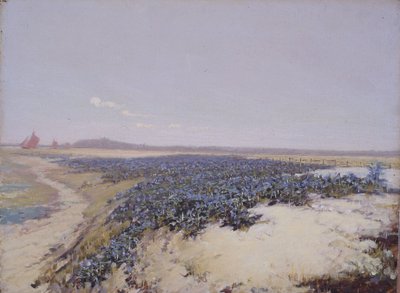 Dunas cubiertas de flores (óleo sobre lienzo) de Charles Augustus Lasar