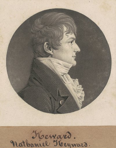 Chapman Johnson de Charles B. J. Févret de Saint Mémin