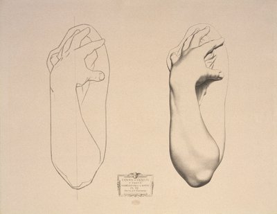 Brazo doblado de una mujer, lámina 22 de Cours de Dessin Volumen I, Modelos según la escultura, c.1868 de Charles Bargue