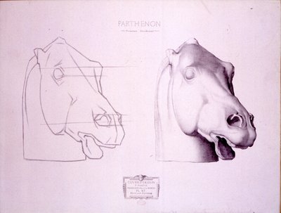 Cabeza de caballo del frontón oeste del Partenón, lámina 47 de Cours de Dessin, c.1898 de Charles Bargue