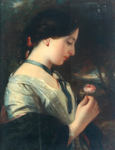 Una rosa inglesa de Charles Baxter