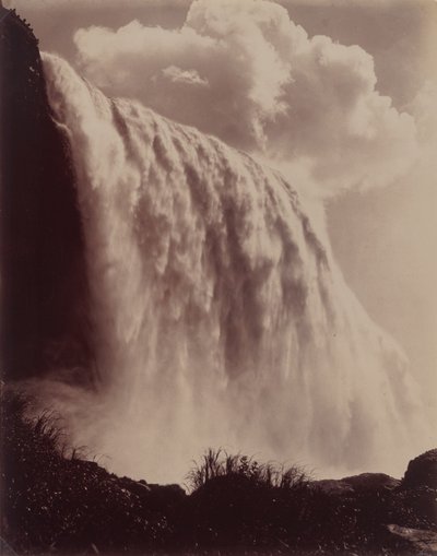 Cataratas del Niágara de Charles Bierstadt