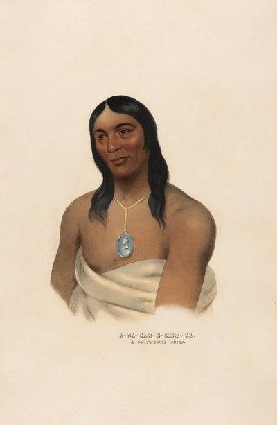  de Charles Bird King