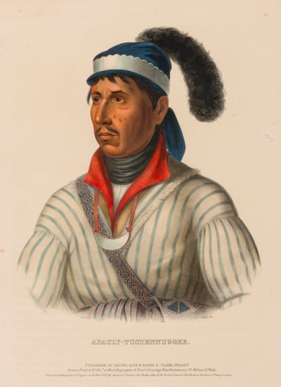 APAULY-TUSTENNUGGEE., de Historia de las Tribus Indias de Norteamérica de Charles Bird King