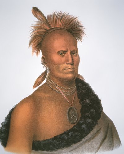 Jefe Sharitarish de Charles Bird King