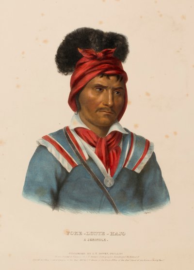 FOKE-LUSTE-HAJO. A SEMINOLE., de History of the Indian Tribes of North America de Charles Bird King