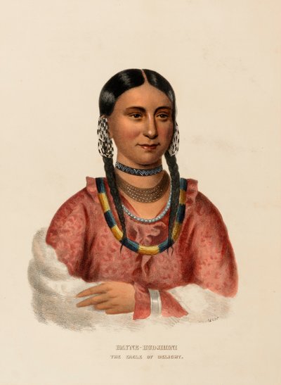 HAYNE-HUDJIHINI. THE EAGLE OF DELIGHT, de History of the Indian Tribes of North America. de Charles Bird King