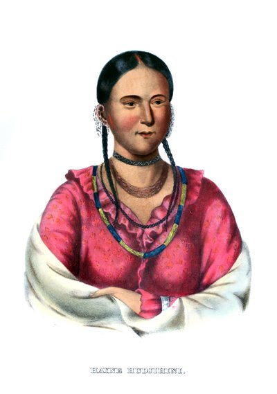 Hayne Hudjihini, o Águila de Delicia de Charles Bird King