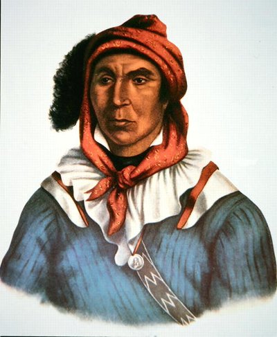 Julcee Mathla de Charles Bird King