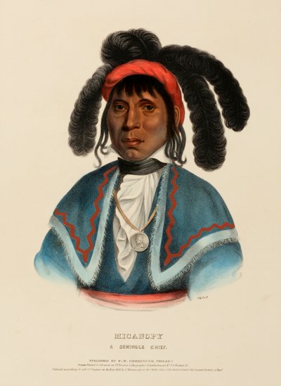 MICANOPY A SEMINOLE CHIEF., de History of the Indian Tribes of North America de Charles Bird King