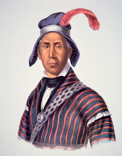 Lobo Loco 1825 de Charles Bird King