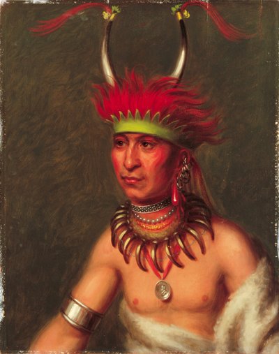 Monchousia (Penacho blanco), Kansa de Charles Bird King