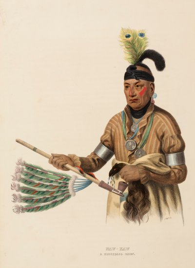 NAW-KAW. A WINNEBAGO CHIEF, de History of the Indian Tribes of North America de Charles Bird King