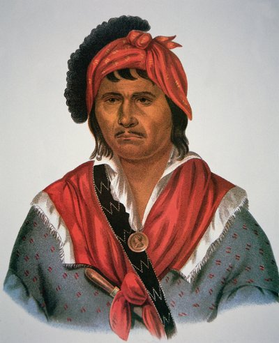 Jefe Neamathla de Charles Bird King