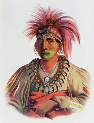 Nowaykesugga, un Otto, ilustración de 