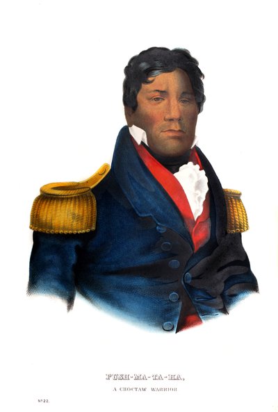 Pushmataha, un guerrero choctaw de Charles Bird King