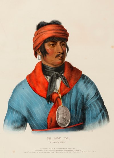 SE-LOC-TA, JEFE DE UN ARROYO de Charles Bird King