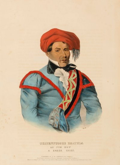 TUSTENNUGGEE EMATHLA, de Historia de las Tribus Indias de Norteamérica de Charles Bird King