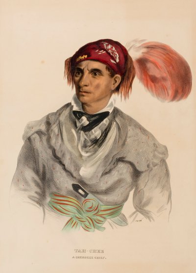 Tah-Chee (holandés), un jefe cherokee, de Historia de las tribus indias de Norteamérica de Charles Bird King