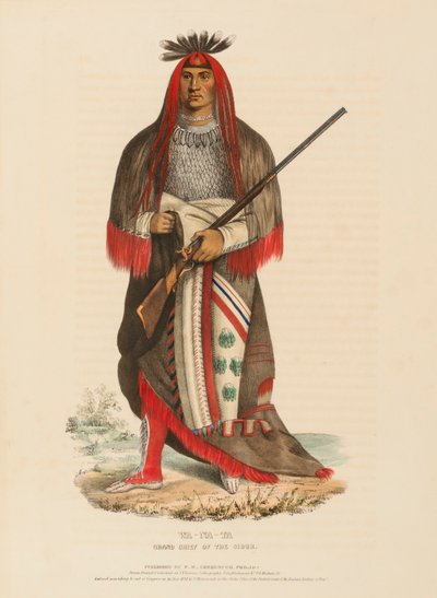 WA-NA-TA. GRAN JEFE DE LOS SIOUX, de Historia de las Tribus Indias de Norteamérica de Charles Bird King
